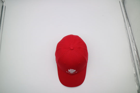 Chicago Cap